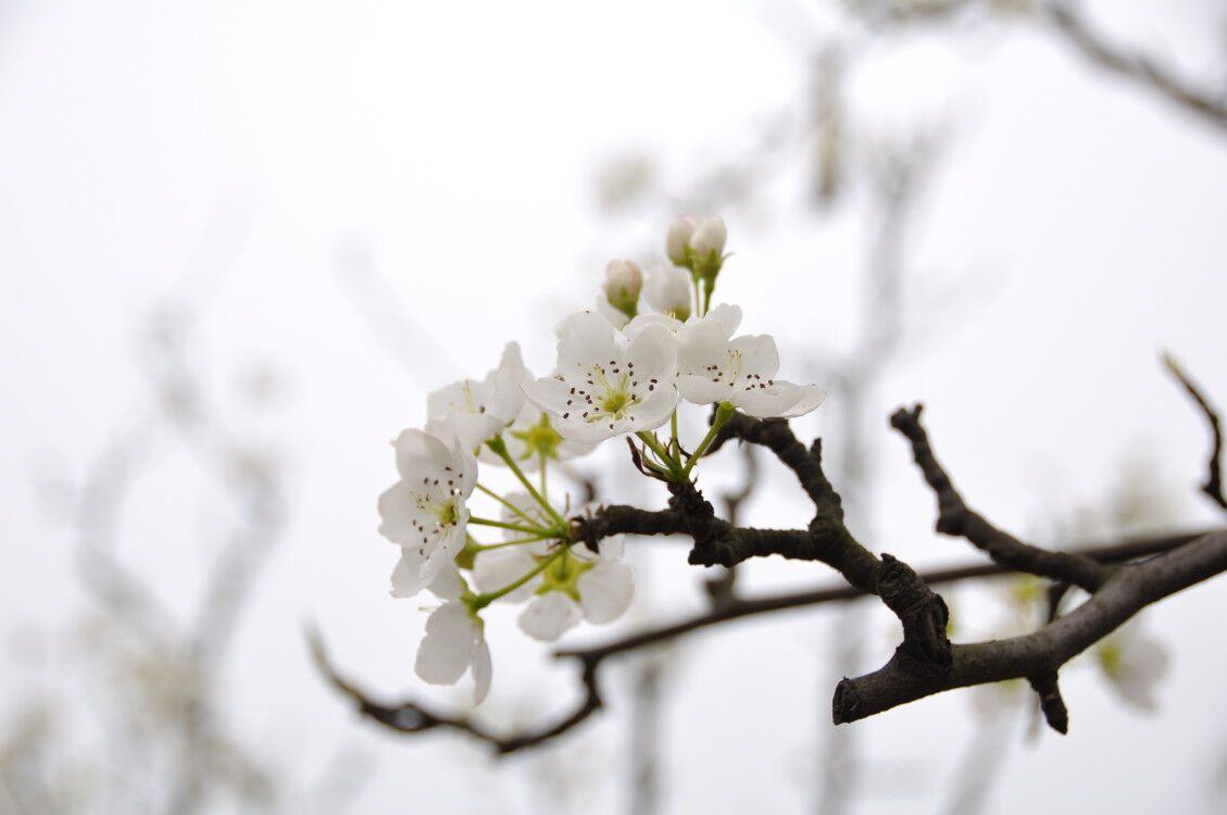 四川凯盈律师事务所律师摄影作品展示（一）